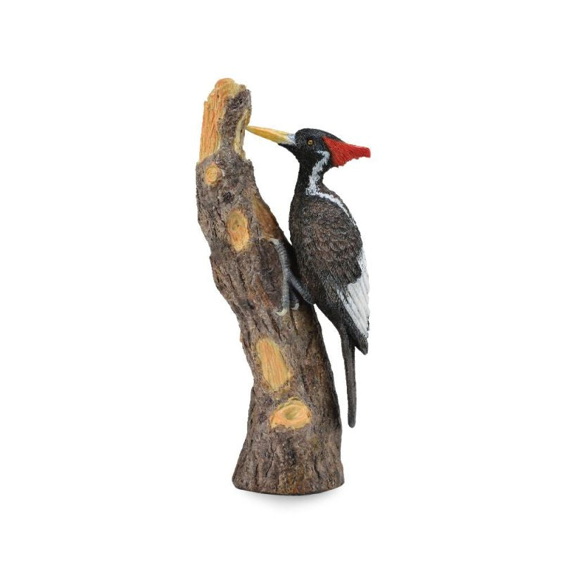 Ivory-Billed Woodpecker (L Yellow Tag) - CollectA