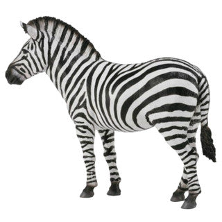 Common Zebra (L Yellow Tag) - CollectA