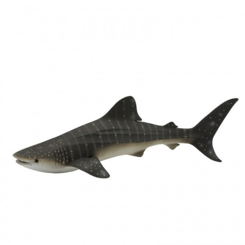 Whale Shark (XL Grey Tag) - CollectA