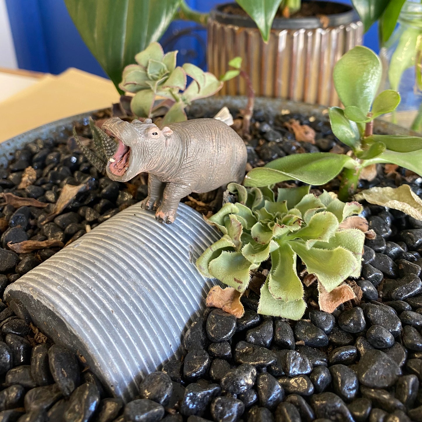 Hippopotamus Calf (S Green Tag) - CollectA