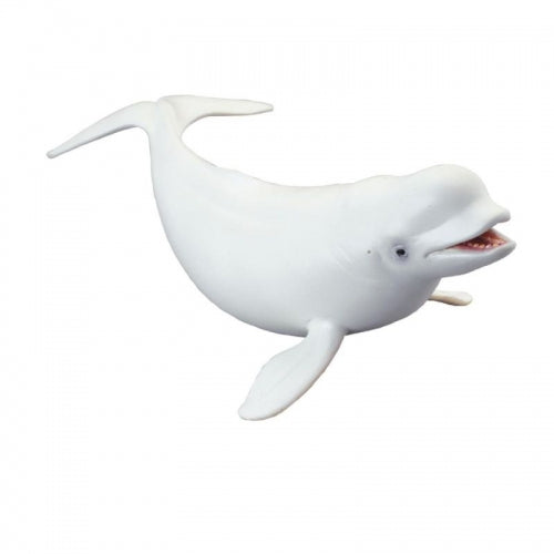 Beluga Whale (L Yellow Tag) - CollectA