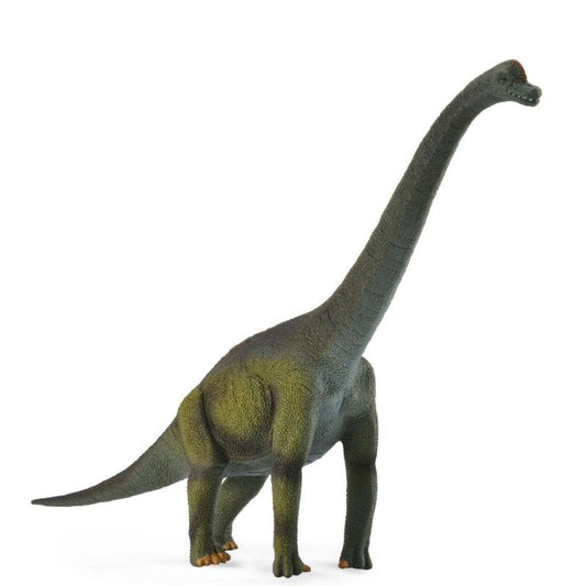 Brachiosaurus (L Yellow Tag) - CollectA