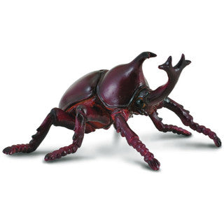 Rhinoceros Beetle (M) - CollectA