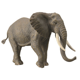 African Elephant (XL) - CollectA