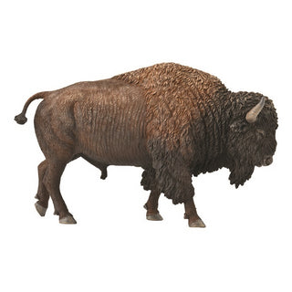 American Bison (XL) - CollectA