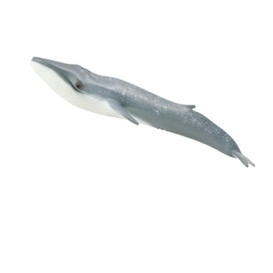 Blue Whale (XL) - CollectA
