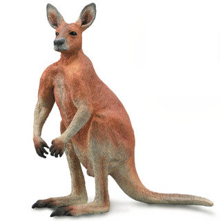 Red Kangaroo - Male (L) - CollectA