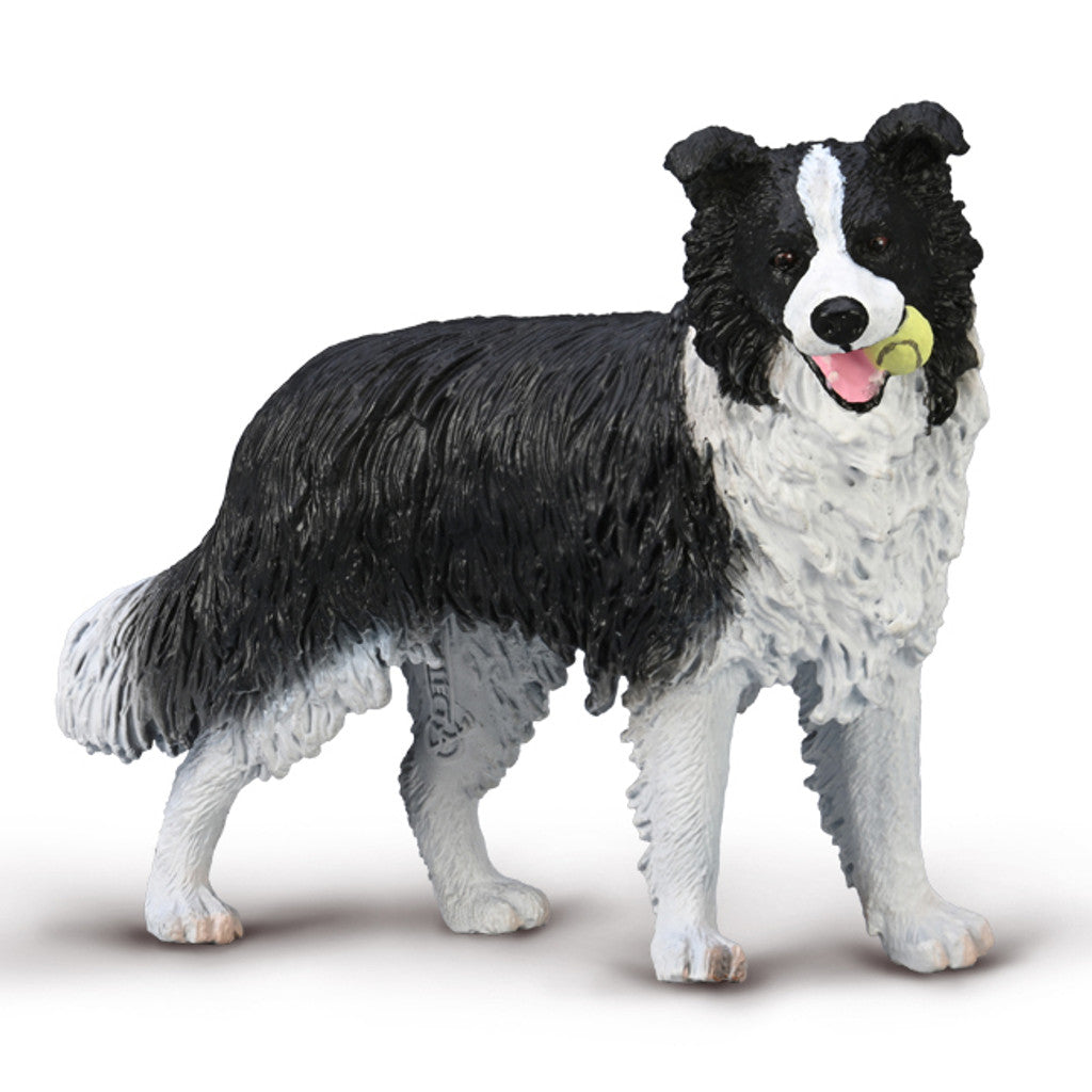 Border Collie (L Yellow Tag) - CollectA