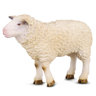 Sheep (M) - CollectA