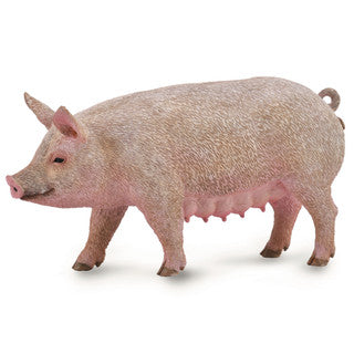 Pig - Sow (M Red Tag) - CollectA