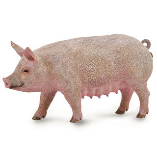 Pig - Sow (M) - CollectA