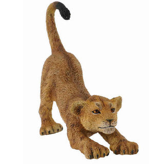 Lion Cub Stretching (S) - CollectA