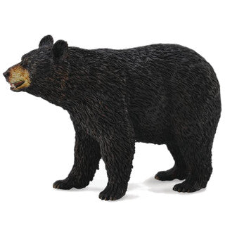 American Black Bear (L) - CollectA