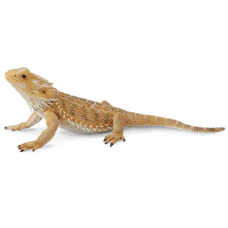 Bearded Dragon (L) - CollectA