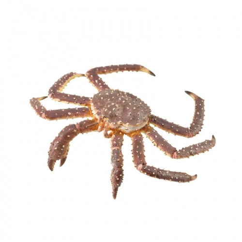 King Crab (XL Grey Tag) - CollectA