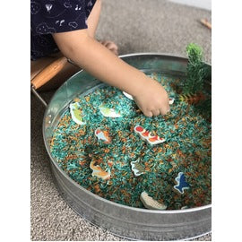 12 piece Magnetic Tropical Fishing - Djeco