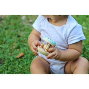 Babyshaki Rattle - Djeco