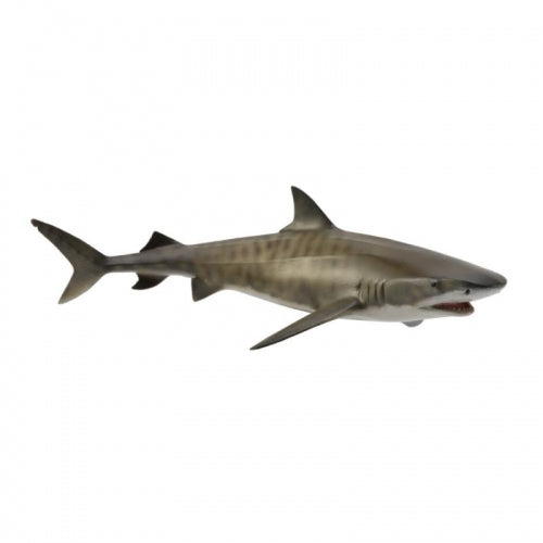 Tiger Shark (L Yellow Tag) - CollectA
