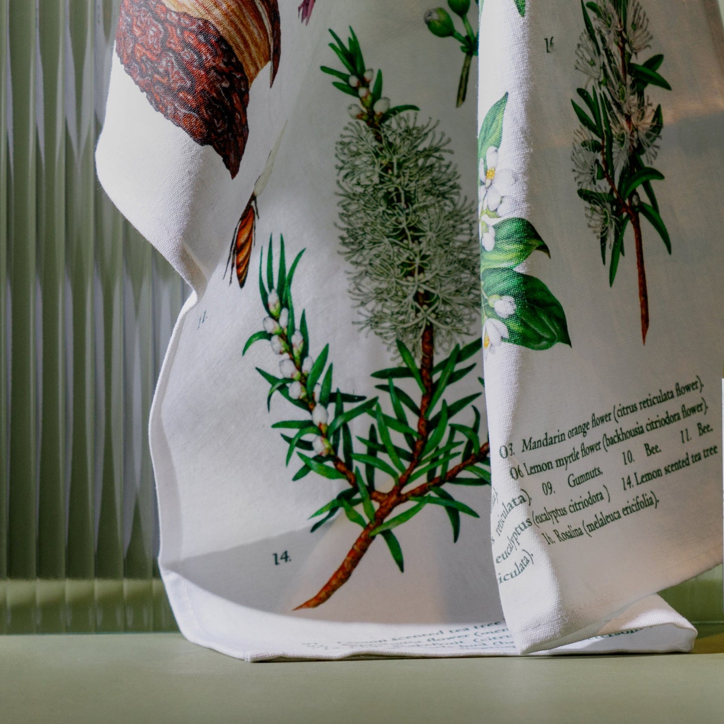 Terra Botanica Tea Towel - Koala Eco
