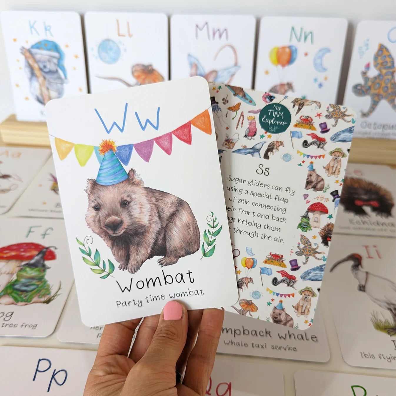 Australian Animal Alphabet Flash Cards - My Tiny Explorer