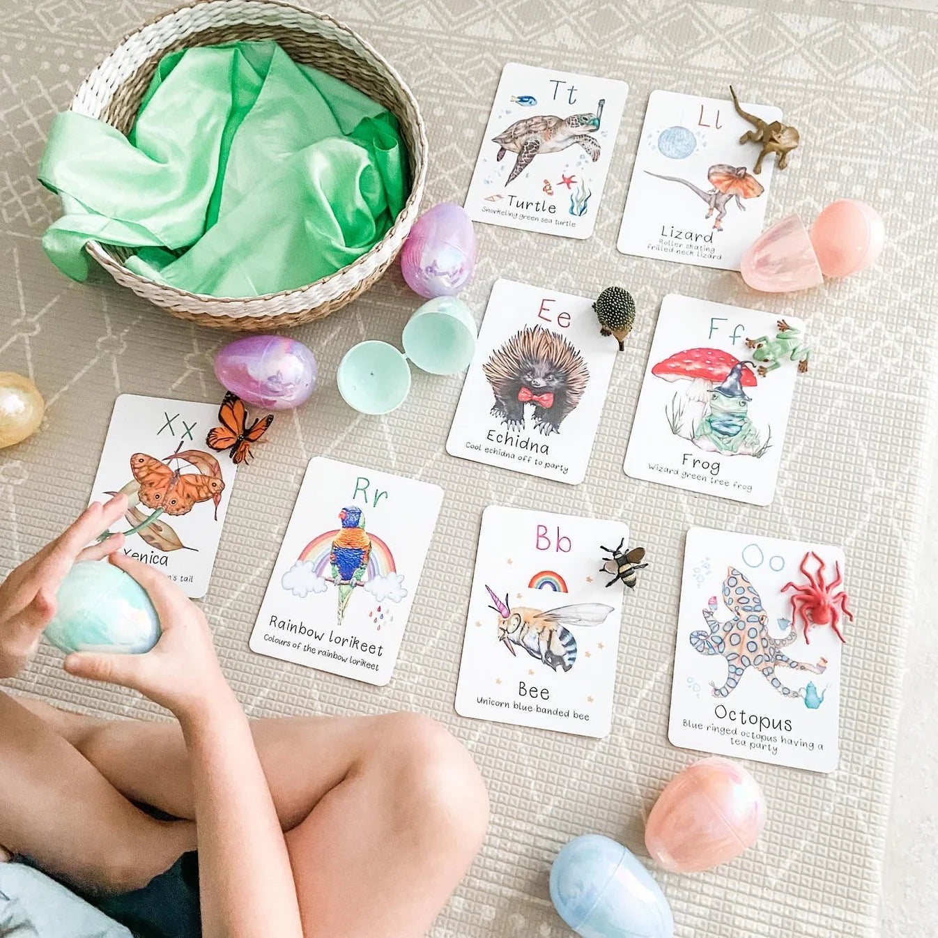 Australian Animal Alphabet Flash Cards - My Tiny Explorer