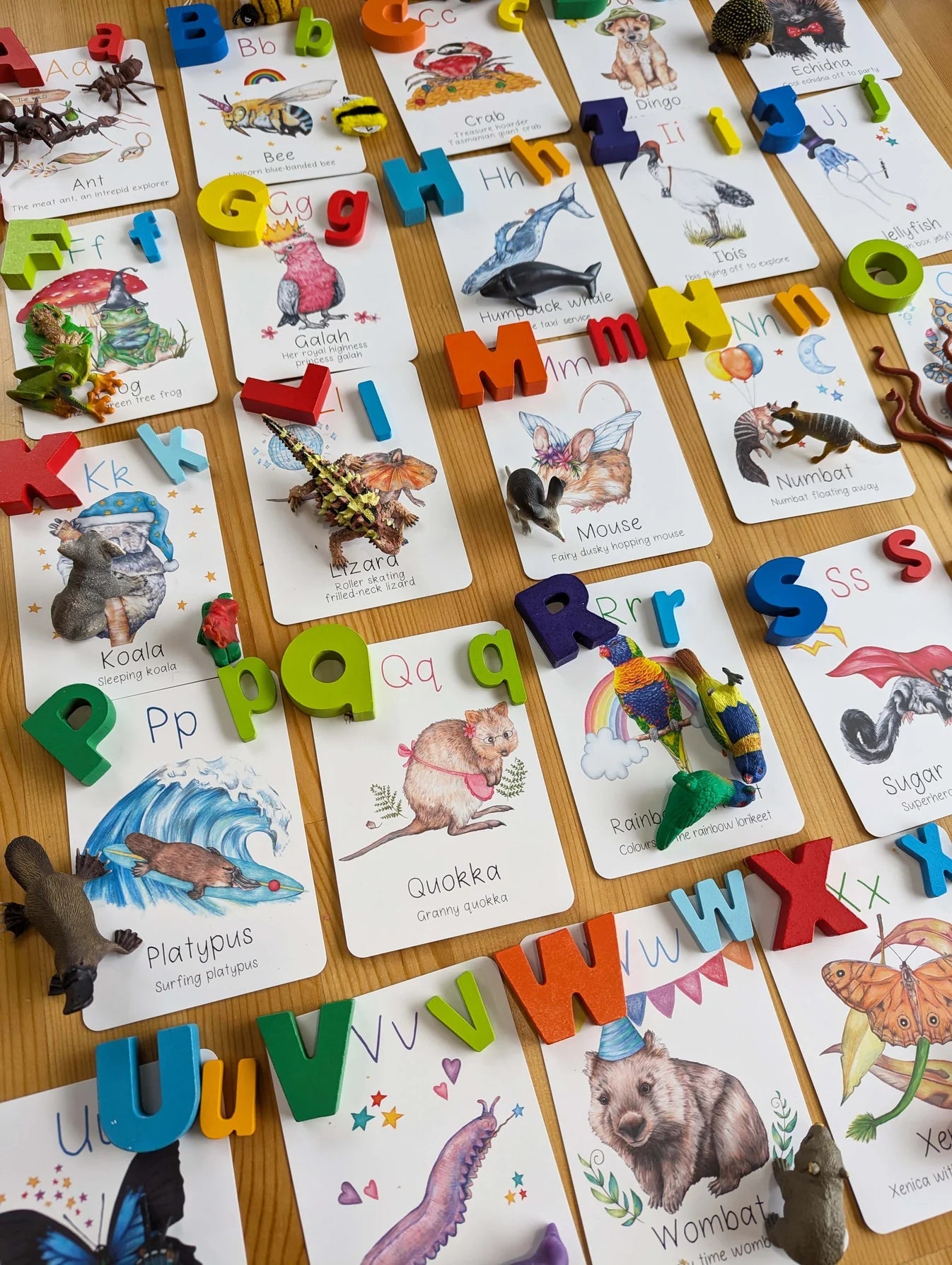 Australian Animal Alphabet Flash Cards - My Tiny Explorer
