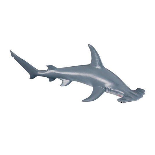 Scalloped Hammerhead Shark (M Red Tag) - CollectA