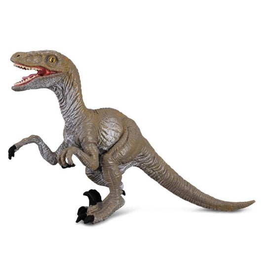 Velociraptor (M Red Tag) - CollectA