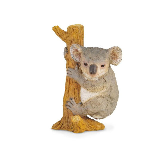 Koala Climbing (M Red Tag) - CollectA