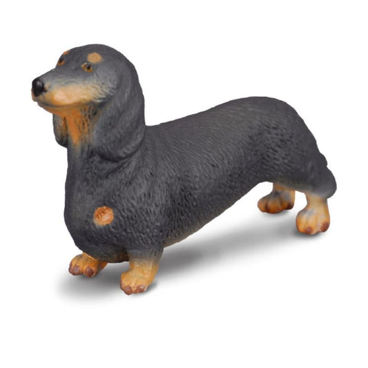 Dachshund (S Green Tag) - CollectA