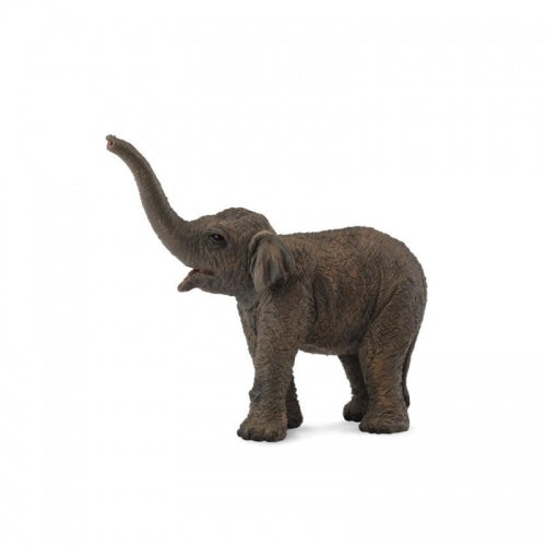 Asian Elephant Calf (S Green Tag) - CollectA