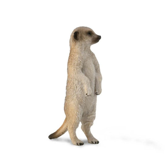 Meerkat (S Green Tag) - CollectA