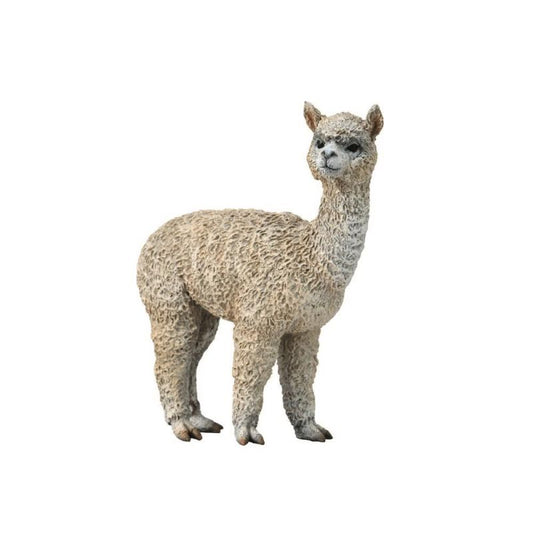 Alpaca (M Red Tag) - CollectA