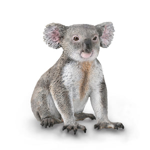 Koala (M) - CollectA