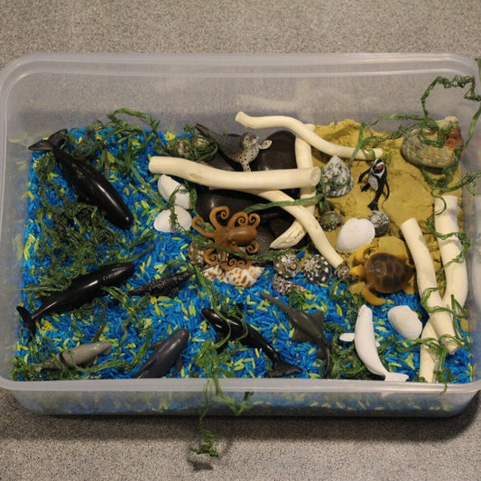 Marine World Sensory Box - Clever Bugs