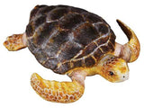 Loggerhead Turtle (M) - CollectA