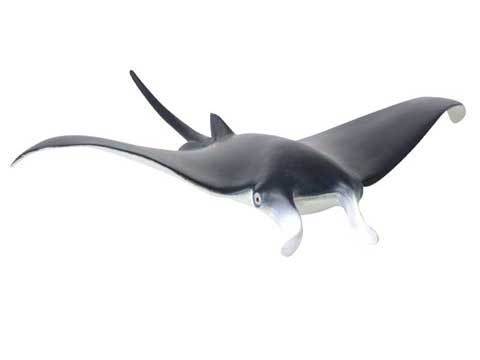 Manta Ray (M) - CollectA