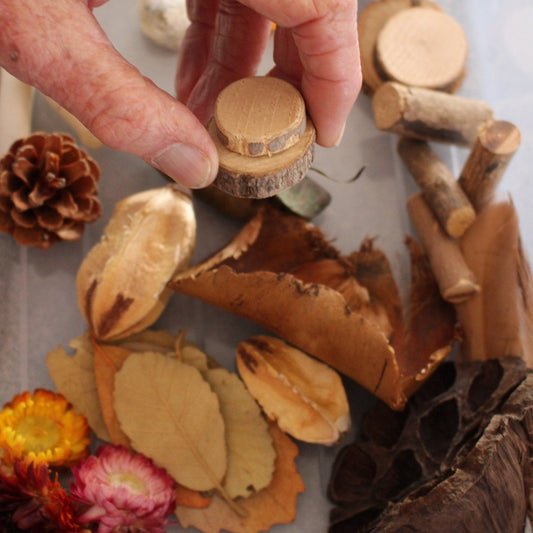 Natures Sensory Box - Clever Bugs