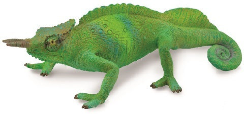 Cameroon Sailfin Chameleon (L Yellow Tag) - CollectA