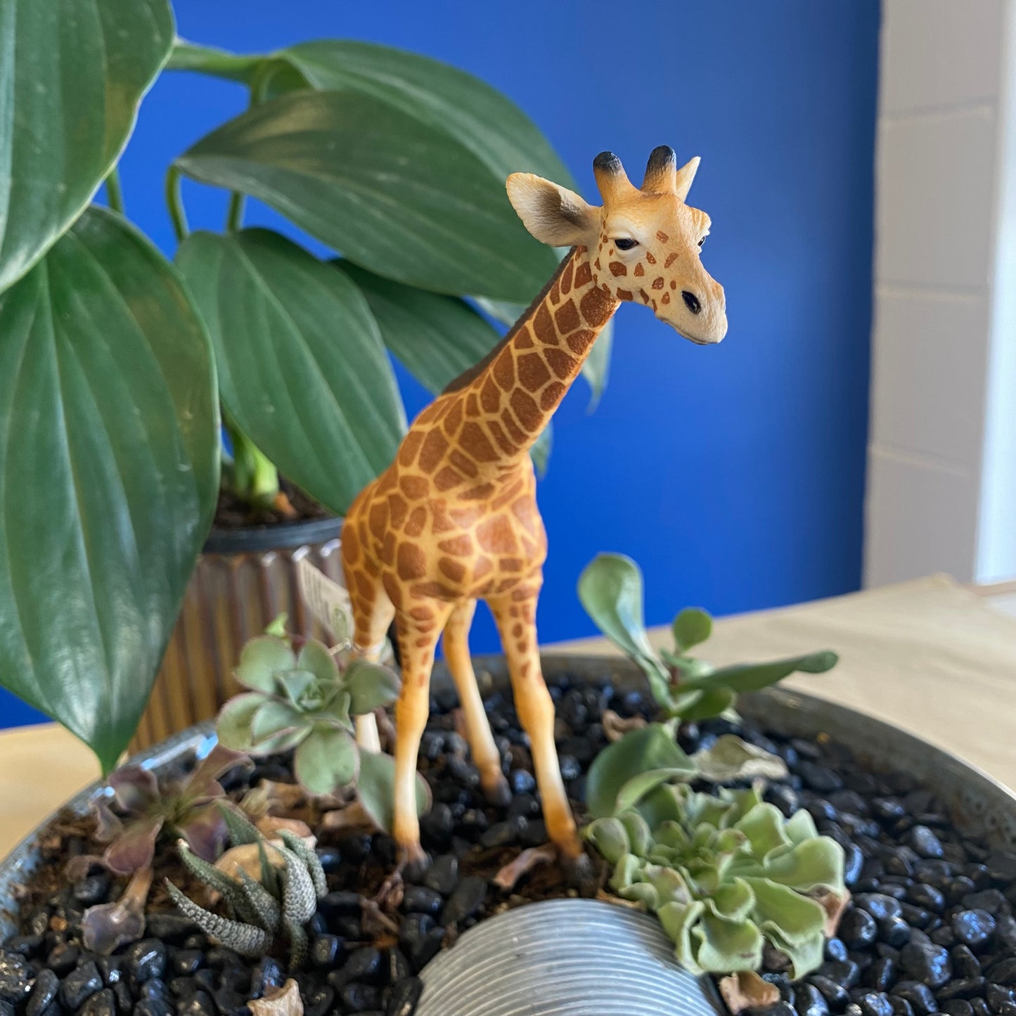 Reticulated Giraffe (XL Grey Tag) - CollectA