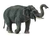 Asian Elephant (XL) - CollectA