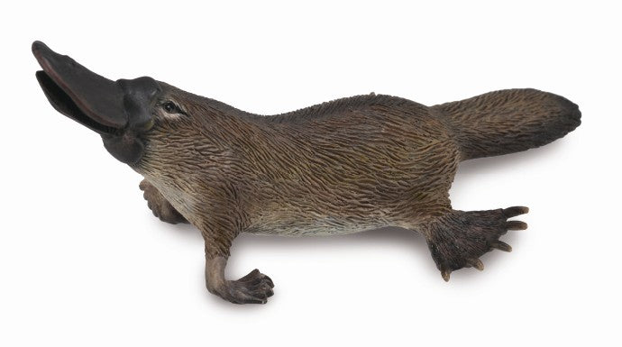 Platypus (M) - CollectA