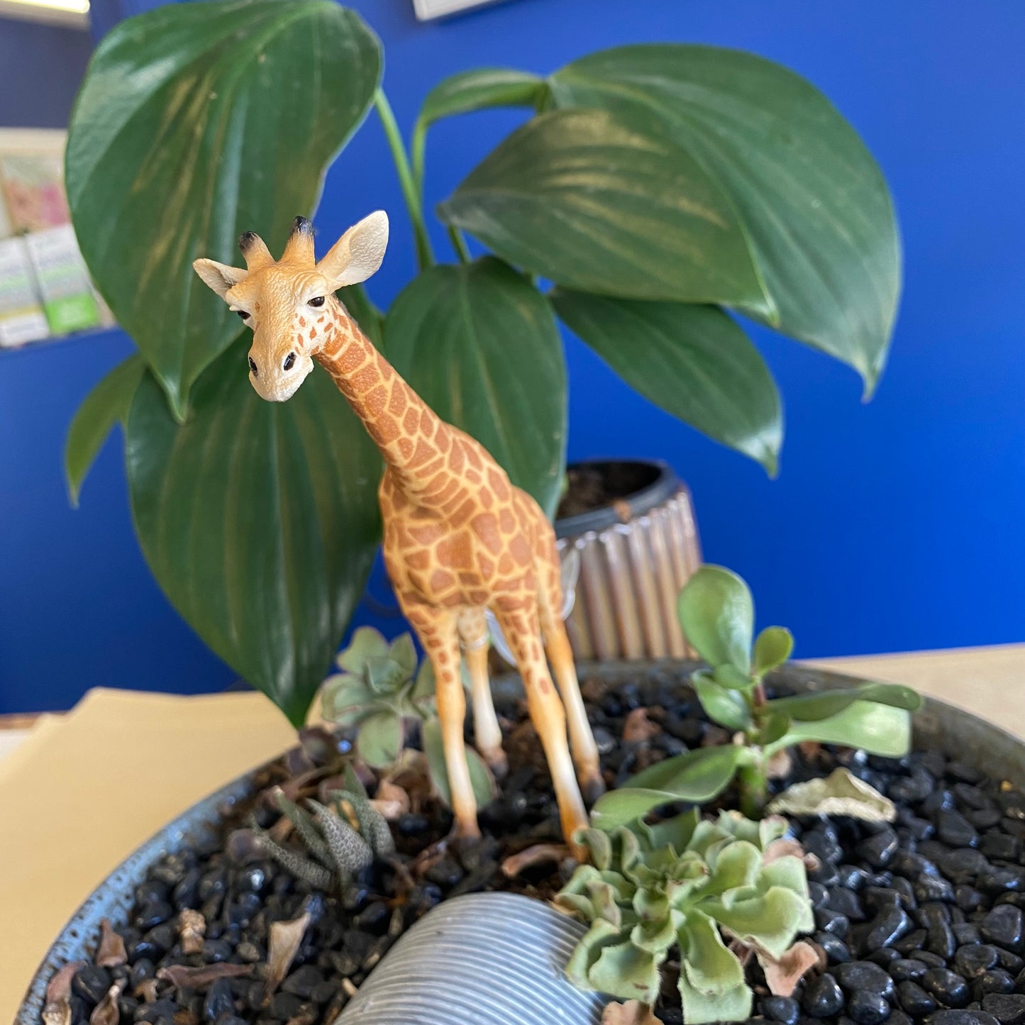 Reticulated Giraffe (XL Grey Tag) - CollectA